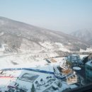 (주)강원랜드수영장 이미지