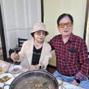 향원 Daum카페
