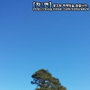 보은슈퍼 이미지