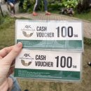 사이프러스 | 치앙마이 엘리핀팜 사이프러스레인 반캉왓 투어 내돈내산 후기