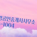 태양공인중개사사무소 이미지