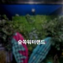 랜드숲 | 경기 가성비 워터파크 안양 숲쏙워터랜드 후기