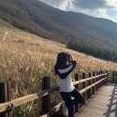 억새목욕탕 | 울산 간월재 사슴농장 등산코스 주차