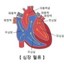 의학과한방(동영상):고혈압 (Essential (Primary) Hypertension) 이미지