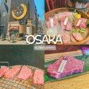 토라레스토랑 | 고베 산노미야 맛집 고베 비프 야키니쿠 오카토라 산노미야점