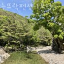 꿈꾸는뜨락 이미지