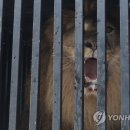 우리갈비 - 태안군 군청4길 33-2 | 우리갈비