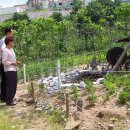 북단양영업소 이미지