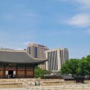 시청 본관 화장실 이미지