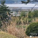 고성탑공인중개사사무소 이미지