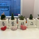 몽블리스 이미지