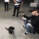 달달한 고양이 이미지