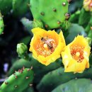 충민사(사당) 이미지