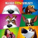마이펫라이프 수제간식 이미지