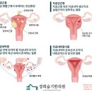 경희슬기한의원 이미지
