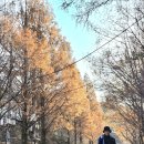 서암로 이미지