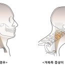 엠씨피트니스 김해점 이미지