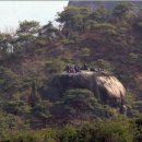 파인밸리 이미지