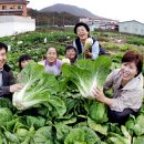 정종희농장 이미지