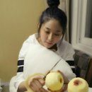 현모양처