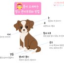 까까 주시개 이미지