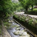 거북바위야영장 이미지