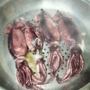 맛있는간편요리 | 윤자네수산 통오징어 간편요리로 술안주,캠핑요리,간식 끝❗️