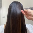 HAIR 514 이미지