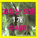 잠이요침구 이미지