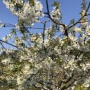 청구농장 이미지