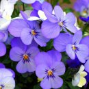 명동정비 이미지