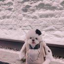 제제감성 이미지