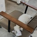 다옴헤어 이미지