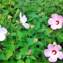 가좌근린공원 이미지