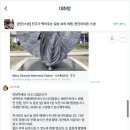 나나칩스 | 영국 런던스냅촬영 내돈내산 친구가 찍어주는듯한 나나스냅 후기