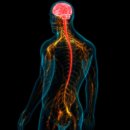 마음한방병원 이미지