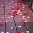 봄을 그리며 이미지