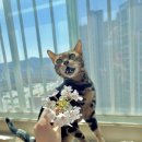 (주)달산 | 목포) 빵달산_여기가 목포 핫플?!(｡♥‿♥｡)