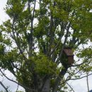 사하구 낙동남로1233번길 | 국립청소년생태센터 개방의 날 체험 및 프로그램 소개