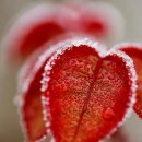 허튼소리 이미지