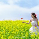 도희목장 이미지