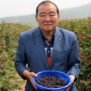 제일푸드윈 이미지