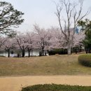 연지공원(음악분수사무실) | 김해 연지공원 ㅣ 벚꽃과 튤립 그리고 분수가 있는 호수공원