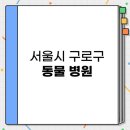 클로버 동물병원 | 서울시 구로구 24시 야간 진료 가능한 동물병원 BEST 3 추천 | 비용 견적