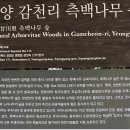 외씨버선길(오일도시인의길) 이미지