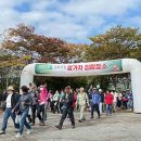 DMZ 평화의 길 19코스 이미지