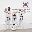 용인대 가온 태권도 이미지