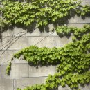 산동목장 이미지