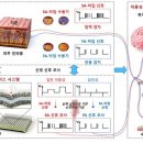 팀일렉트로닉스 이미지