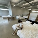 스테이 모어 이미지